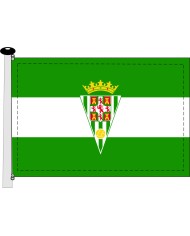 Bandera U. Estepona C.F.