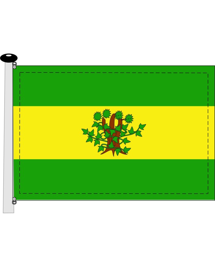 Bandera Oroso