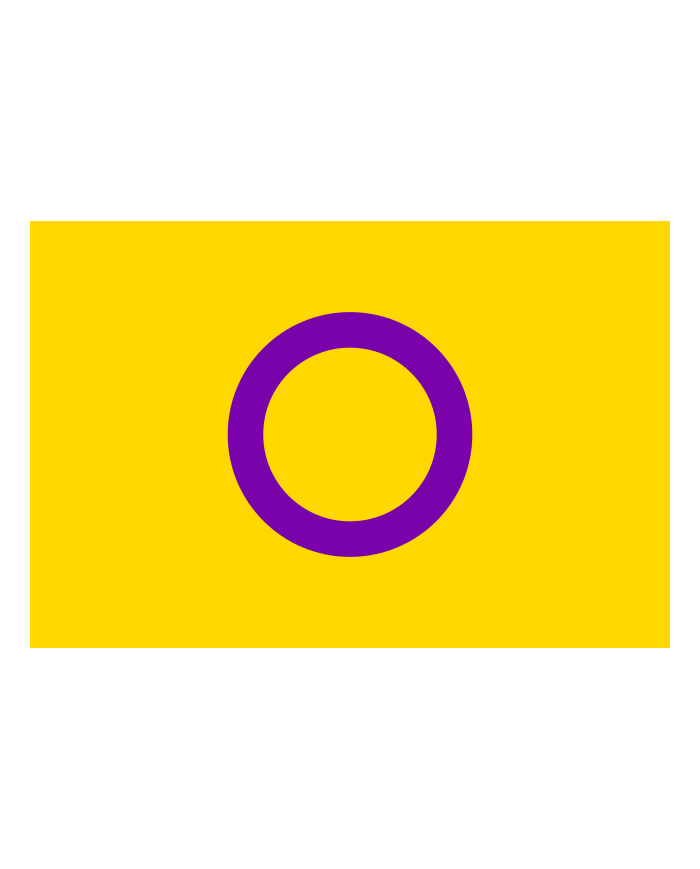 Bandera Orgullo Intersexual