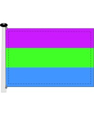Bandera orgullo demisexual