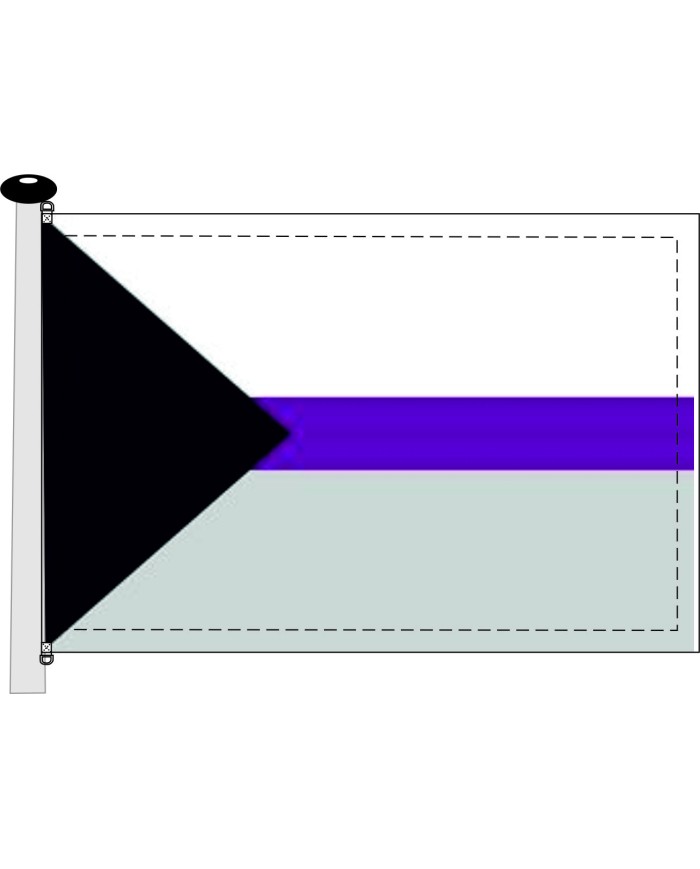 Bandera orgullo demisexual