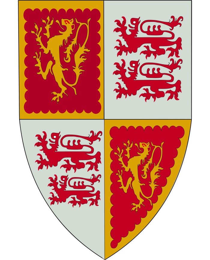 Bandera Medieval Escudos y Leones